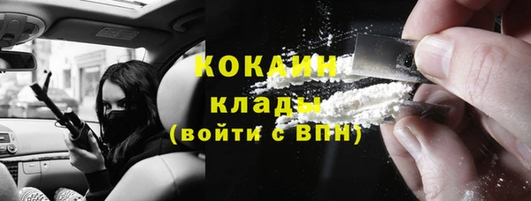 соль ск Михайлов