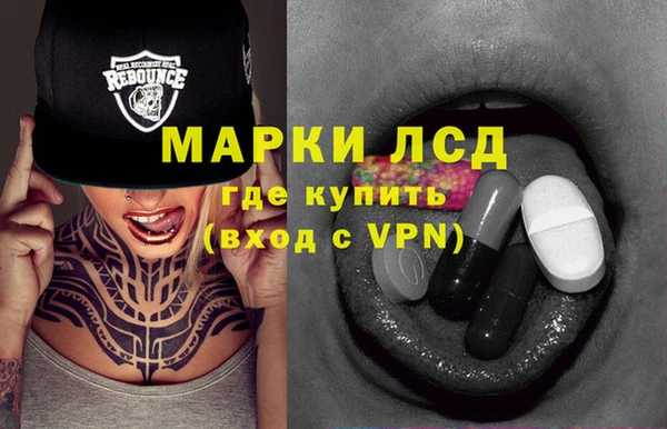 прущие грибы Михайловск