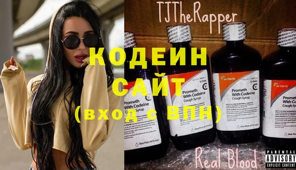 прущие грибы Михайловск