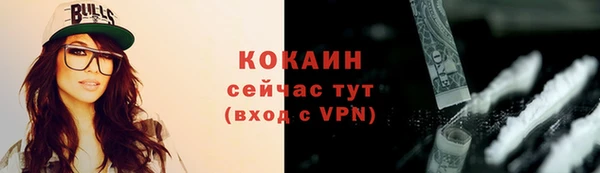 прущие грибы Михайловск