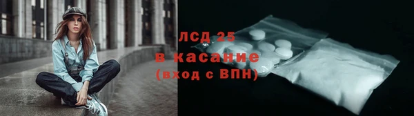 прущие грибы Михайловск
