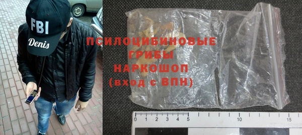 прущие грибы Михайловск