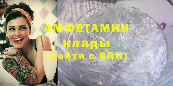 прущие грибы Михайловск
