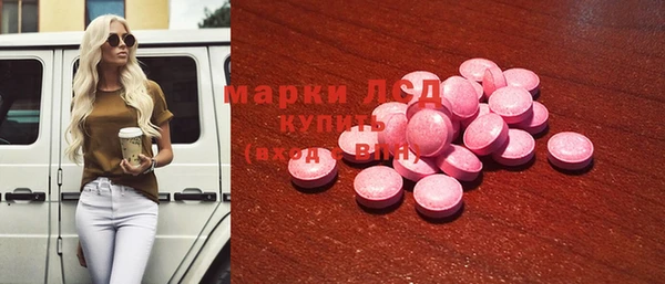 прущие грибы Михайловск