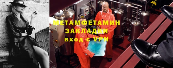 прущие грибы Михайловск