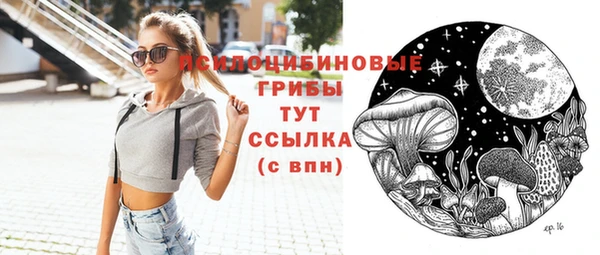 соль ск Михайлов