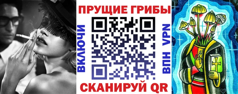 Купить  Старая Купавна  Псилоцибиновые грибы мицелий 